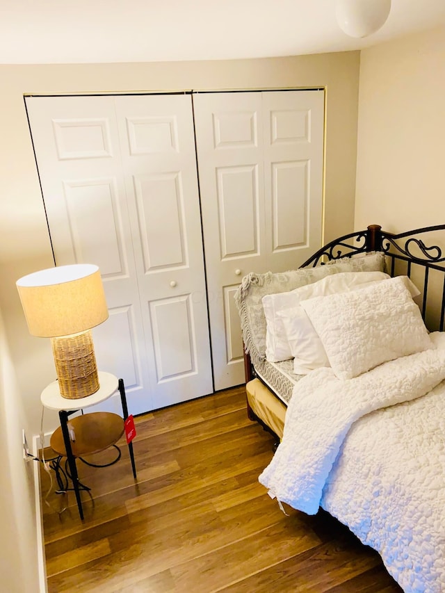 bedroom featuring wood-type flooring and a closet