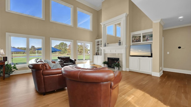 living room featuring crown molding, light hardwood / wood-style flooring, and a healthy amount of sunlight