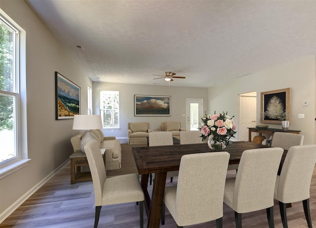 dining room with dark hardwood / wood-style floors, a wealth of natural light, and ceiling fan