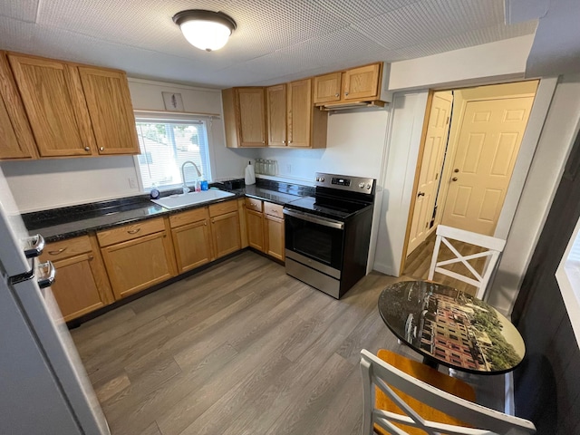 kitchen featuring electric range, hardwood / wood-style flooring, and sink