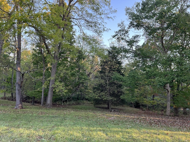 Listing photo 3 for LOT462 Carriage Rd, Powell OH 43065