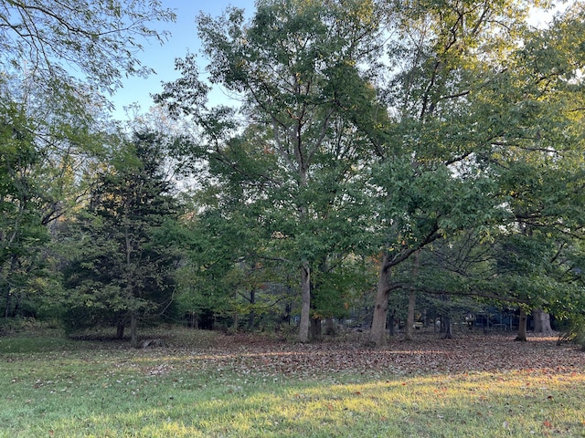 LOT462 Carriage Rd, Powell, OH 43065 - photo 1