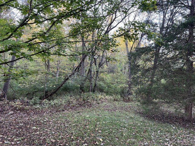 LOT462 Carriage Rd, Powell, OH 43065 - photo 4