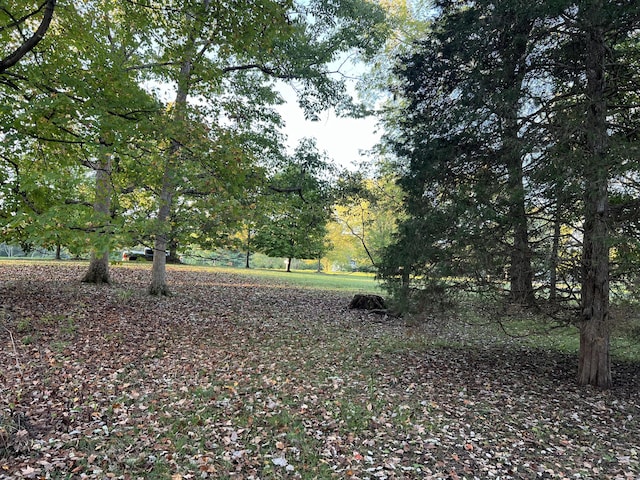 LOT462 Carriage Rd, Powell, OH 43065 - photo 6