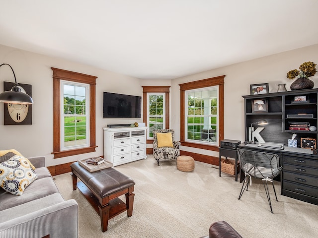 view of carpeted living room