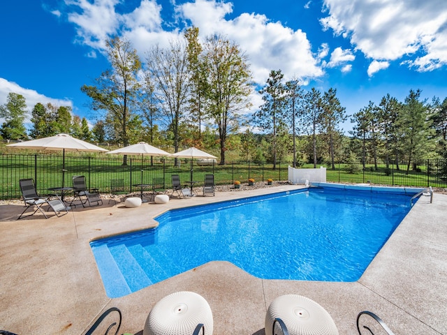 view of pool with a lawn and a patio