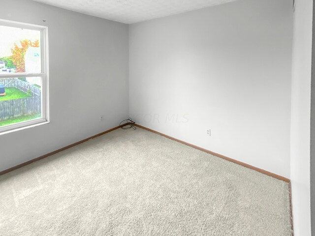 empty room featuring carpet floors and a textured ceiling