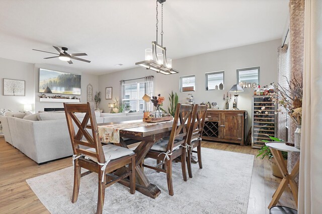 dining space with ceiling fan and light hardwood / wood-style floors