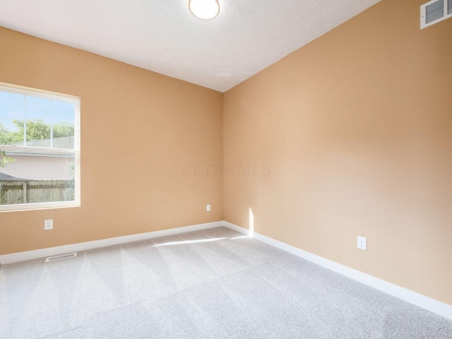 spare room with light colored carpet and a textured ceiling