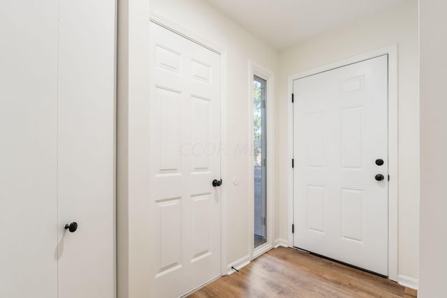 entryway featuring light wood-type flooring