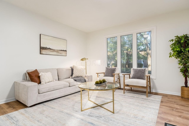 living room with light hardwood / wood-style flooring