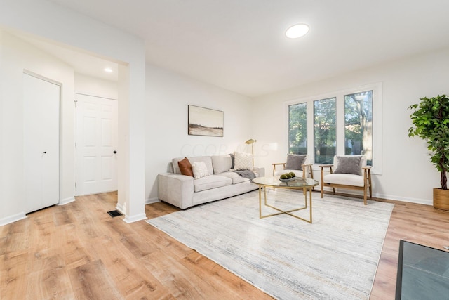 living room featuring light hardwood / wood-style floors