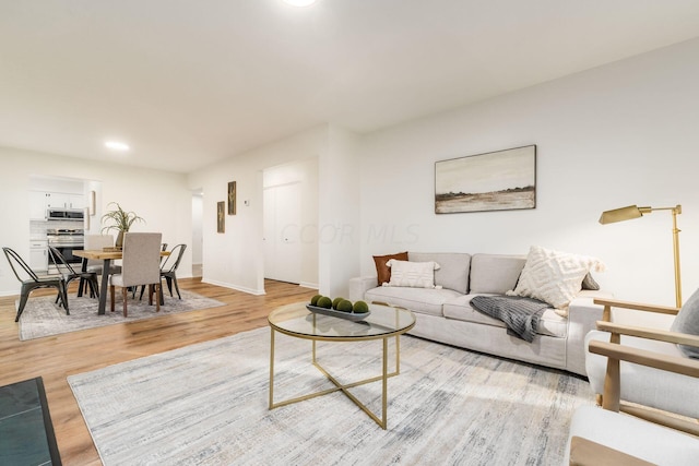 living room featuring light hardwood / wood-style floors