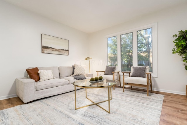 living room featuring light hardwood / wood-style flooring