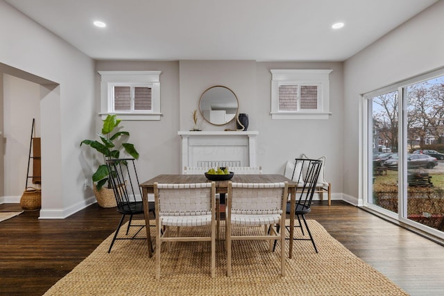 dining room featuring dark wood-type flooring