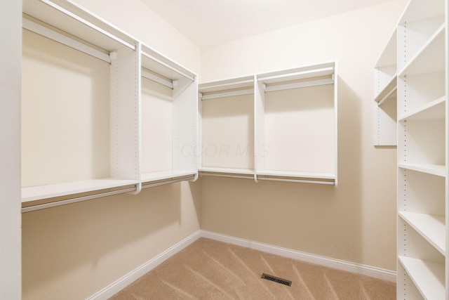 walk in closet with carpet floors