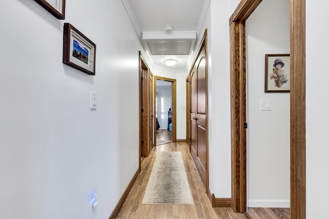 corridor with ornamental molding and light wood-type flooring