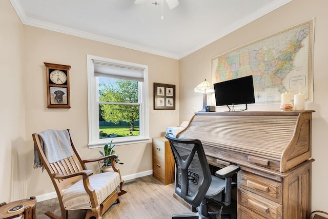 office featuring ceiling fan, light wood-type flooring, and crown molding