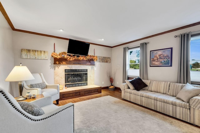 living room with a fireplace, hardwood / wood-style flooring, and crown molding