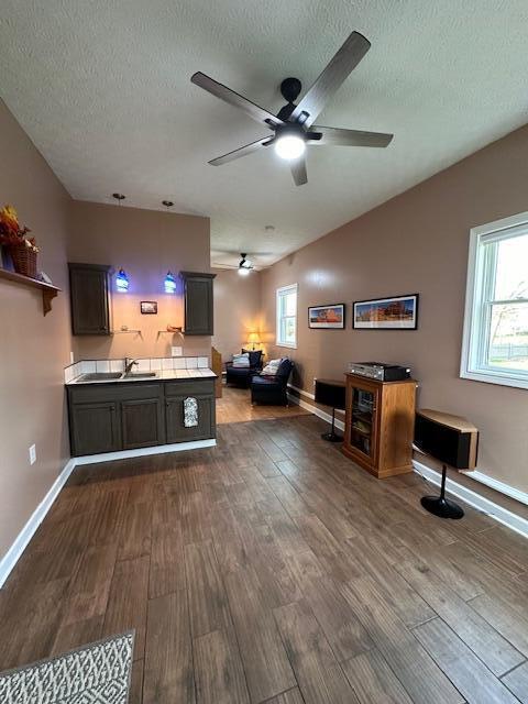 kitchen with hardwood / wood-style floors, a textured ceiling, dark brown cabinetry, and ceiling fan