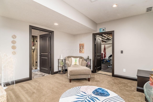 sitting room with light carpet and a textured ceiling