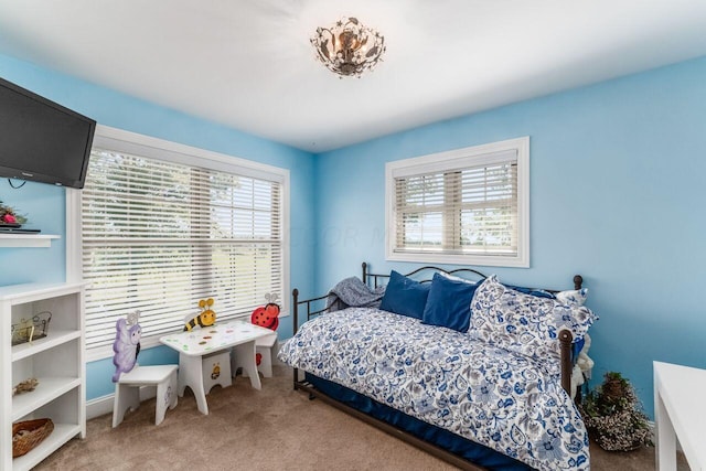 bedroom with carpet flooring