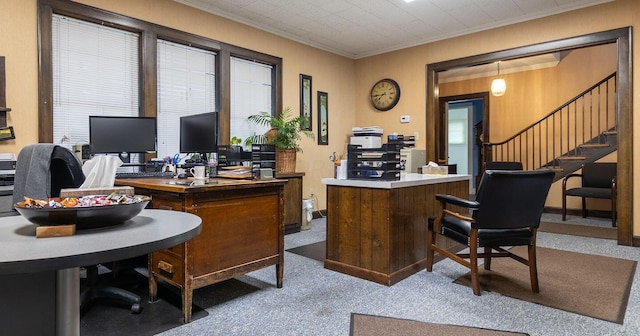 carpeted office space featuring crown molding