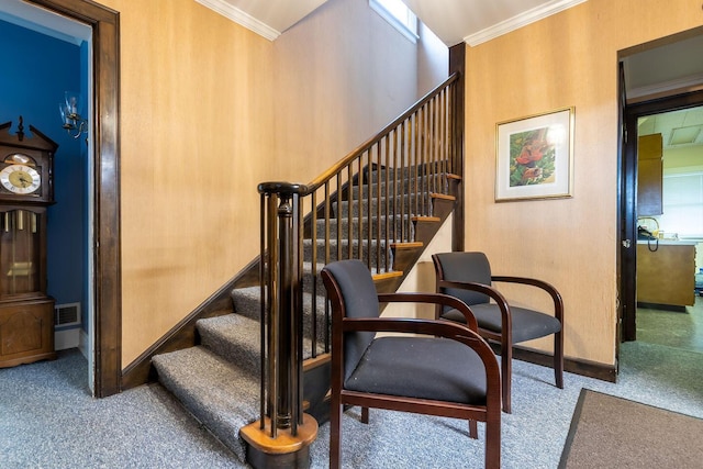 stairway featuring carpet floors and crown molding