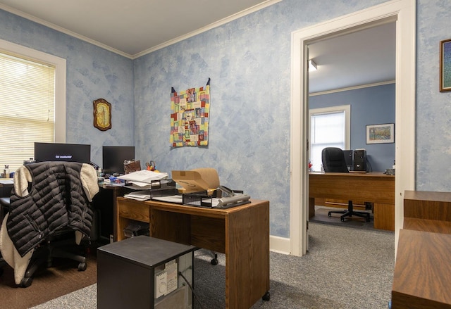 carpeted home office with ornamental molding