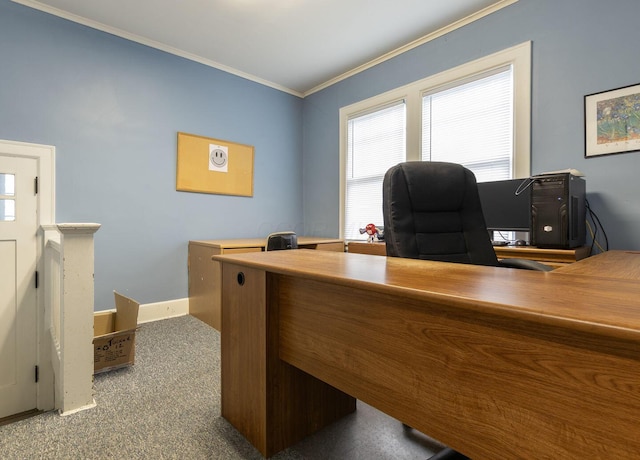 office space with crown molding and carpet