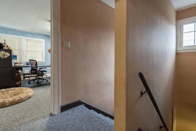 stairway with crown molding