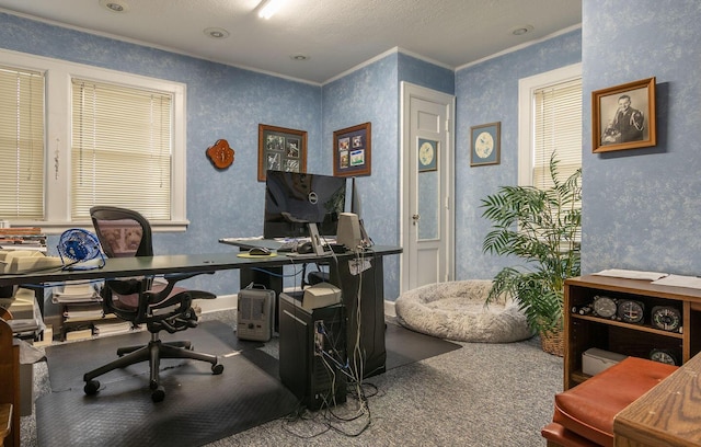 carpeted office space featuring a textured ceiling and ornamental molding