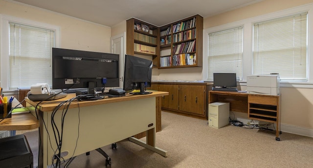 office with light carpet and ornamental molding