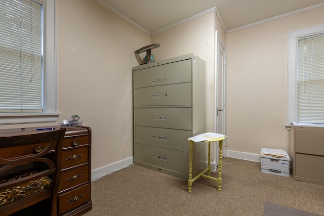 interior space with light colored carpet