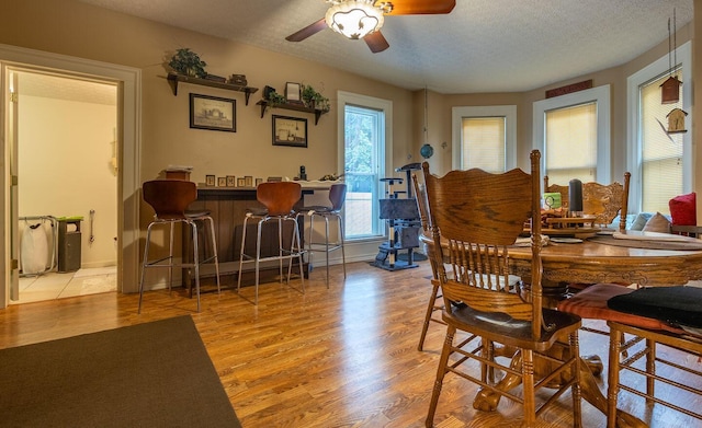 dining area with a textured ceiling, light hardwood / wood-style floors, and ceiling fan