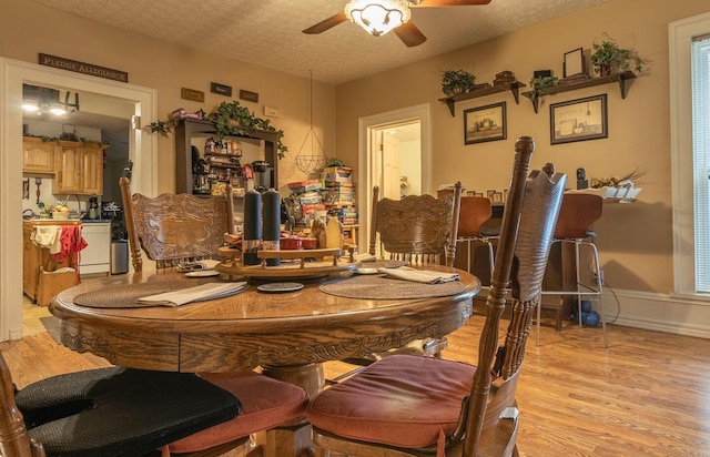 dining space with a textured ceiling, light hardwood / wood-style flooring, and ceiling fan