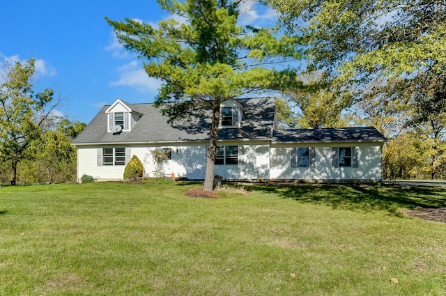 rear view of property with a yard