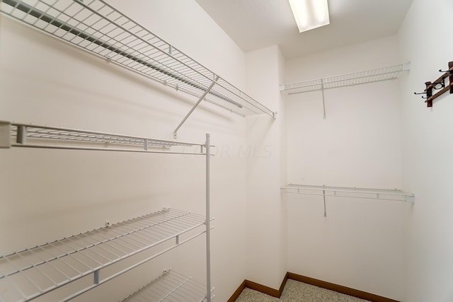 view of spacious closet