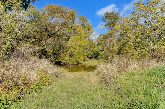 view of local wilderness with a water view