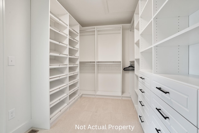 spacious closet featuring light colored carpet