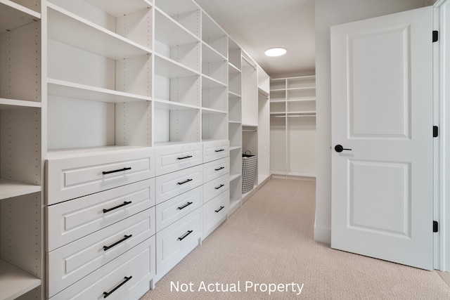 spacious closet with light carpet