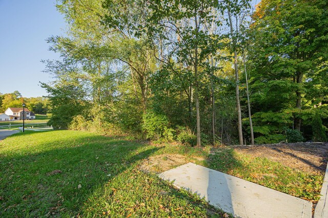 147 Quailrun Rd, Thornville, OH 43076 - photo 59