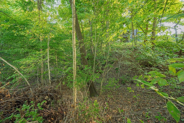 147 Quailrun Rd, Thornville, OH 43076 - photo 64