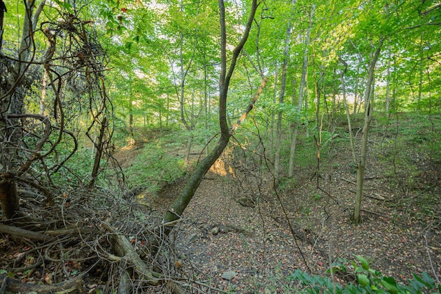 147 Quailrun Rd, Thornville, OH 43076 - photo 68