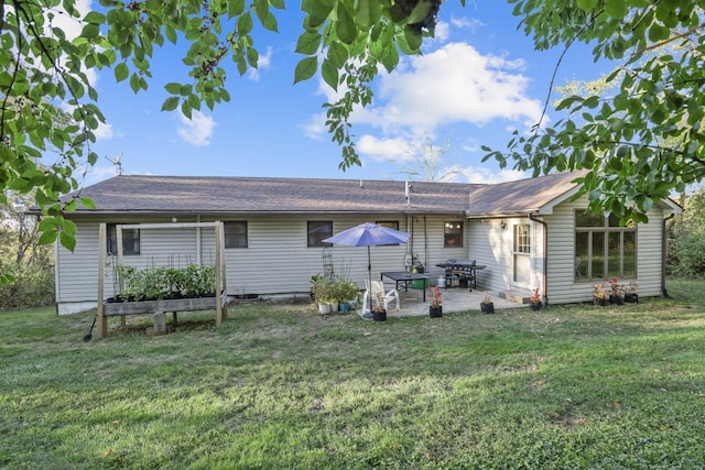 back of property with a patio and a lawn