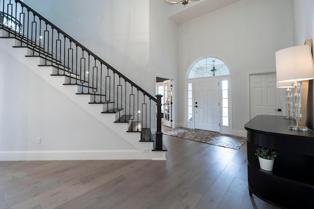 foyer with wood-type flooring and a high ceiling