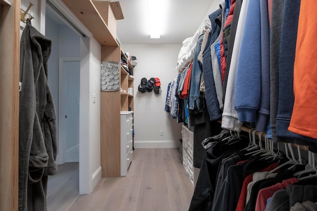 spacious closet with hardwood / wood-style flooring