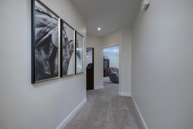 hallway featuring carpet