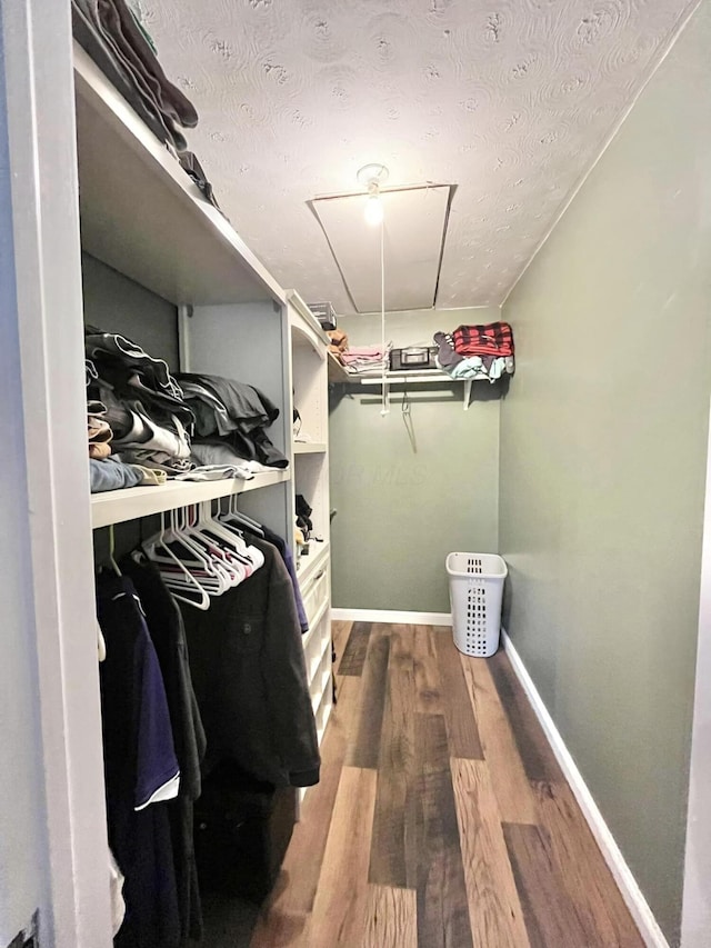 walk in closet featuring hardwood / wood-style floors