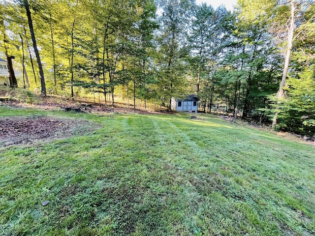 view of yard featuring a storage shed